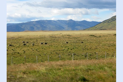 Viaggio in Argentina 2010